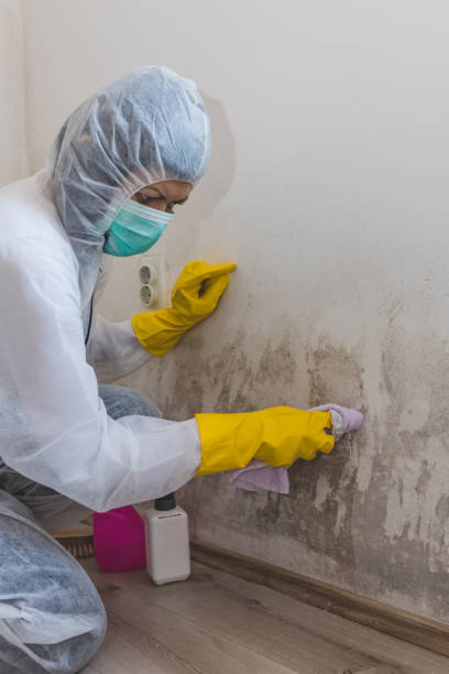 Best Mold Removal for HVAC Installations  in Pawnee, OK