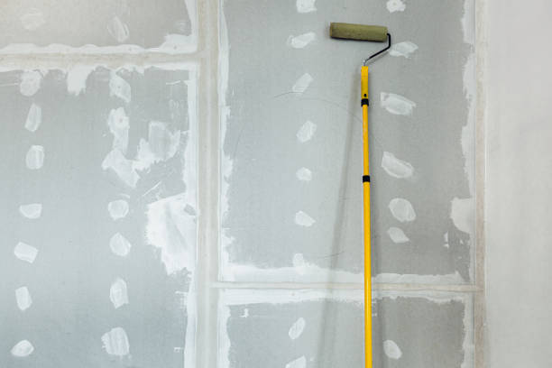 Best Environmental Consulting for Mold Prevention  in Pawnee, OK
