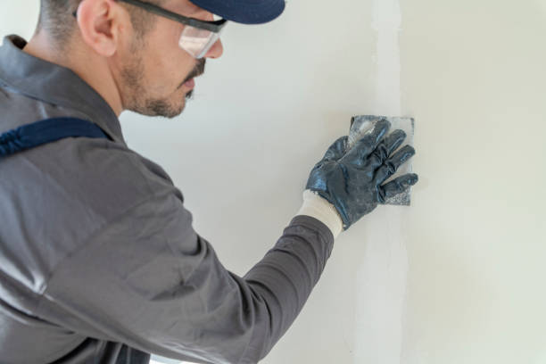 Best Asbestos and Lead Testing During Mold Inspection  in Pawnee, OK