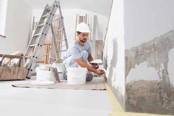  Pawnee, OK Mold Removal Pros