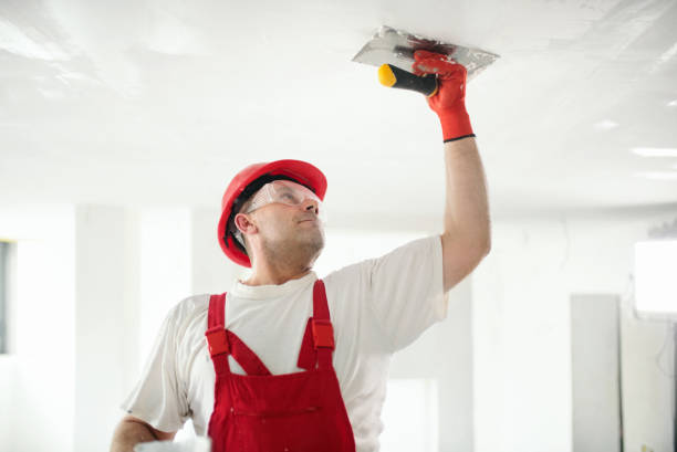 Best Mold Documentation for Insurance Claims  in Pawnee, OK