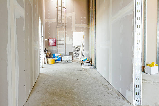 Best Crawl Space Mold Remediation  in Pawnee, OK