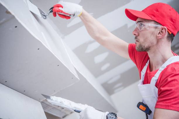 Best Basement Mold Removal  in Pawnee, OK