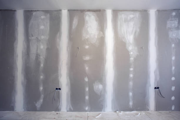 Best Industrial Mold Remediation  in Pawnee, OK